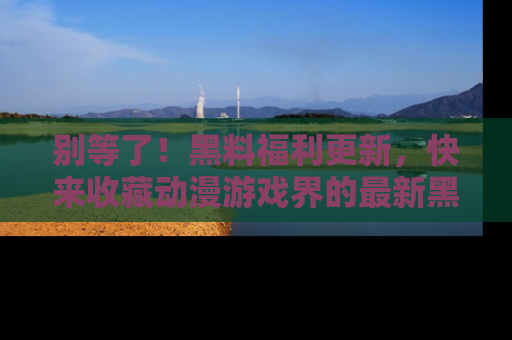 别等了！黑料福利更新，快来收藏动漫游戏界的最新黑料吧！