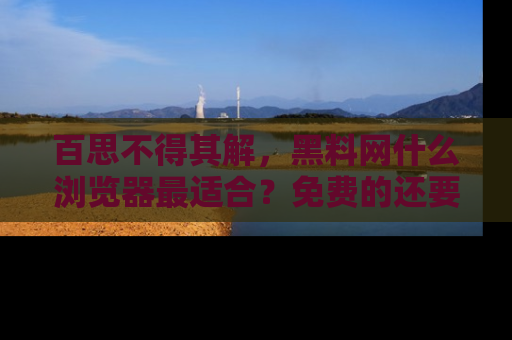 百思不得其解，黑料网什么浏览器最适合？免费的还要能吃瓜太难了！