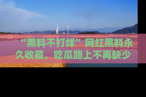 “黑料不打烊”网红黑料永久收藏,吃瓜路上不再缺少惊喜与乐趣