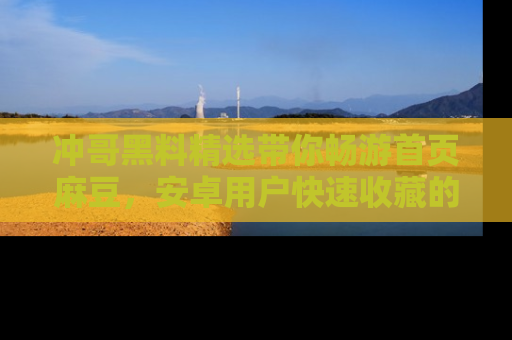 冲哥黑料精选带你畅游首页麻豆,安卓用户快速收藏的秘密武器!