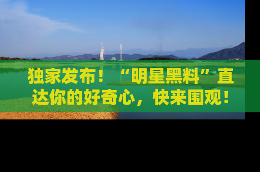 独家发布！“明星黑料”直达你的好奇心，快来围观！
