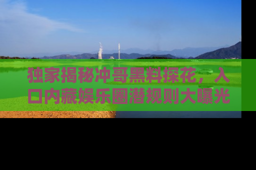 独家揭秘冲哥黑料探花，入口内藏娱乐圈潜规则大曝光
