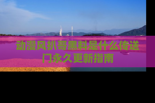 动漫风扒哥黑料是什么传送门永久更新指南