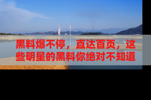 黑料爆不停，直达首页，这些明星的黑料你绝对不知道！