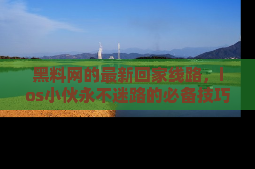 黑料网的最新回家线路，ios小伙永不迷路的必备技巧！