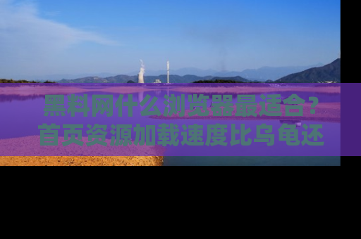 黑料网什么浏览器最适合？首页资源加载速度比乌龟还慢的体验真心吐槽！