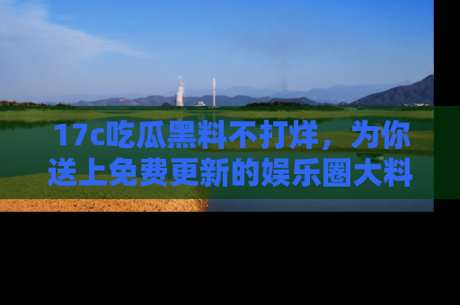 17c吃瓜黑料不打烊,为你送上免费更新的娱乐圈大料!