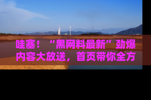 哇塞!“黑网料最新”劲爆内容大放送,首页带你全方位了解哦,小可爱们
