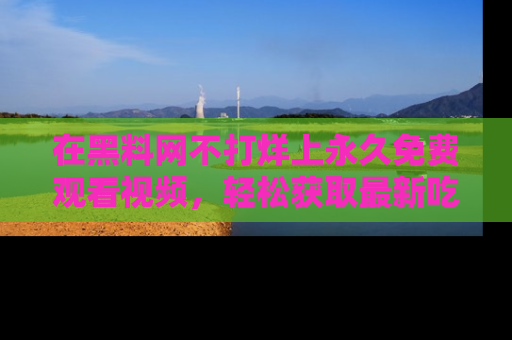 在黑料网不打烊上永久免费观看视频,轻松获取最新吃瓜资讯!
