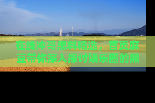 在线冲哥黑料精选,首页麻豆带你深入探讨娱乐圈的黑暗面
