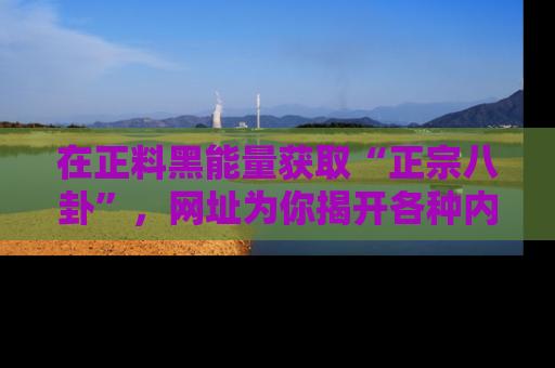 在正料黑能量获取“正宗八卦”,网址为你揭开各种内幕故事!