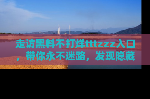 走访黑料不打烊tttzzz入口,带你永不迷路,发现隐藏的黑幕