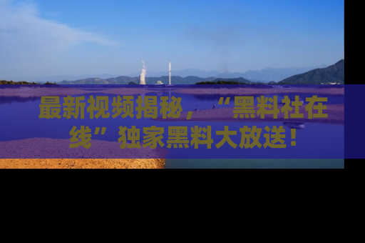 最新视频揭秘,“黑料社在线”独家黑料大放送!